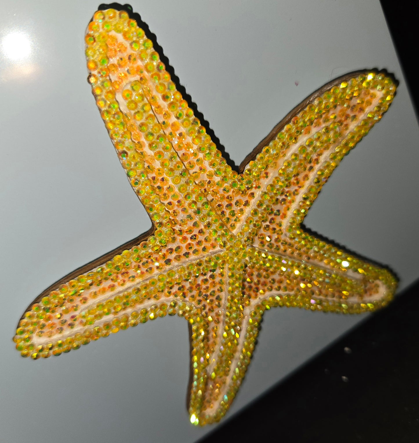 Ocean animals magnets