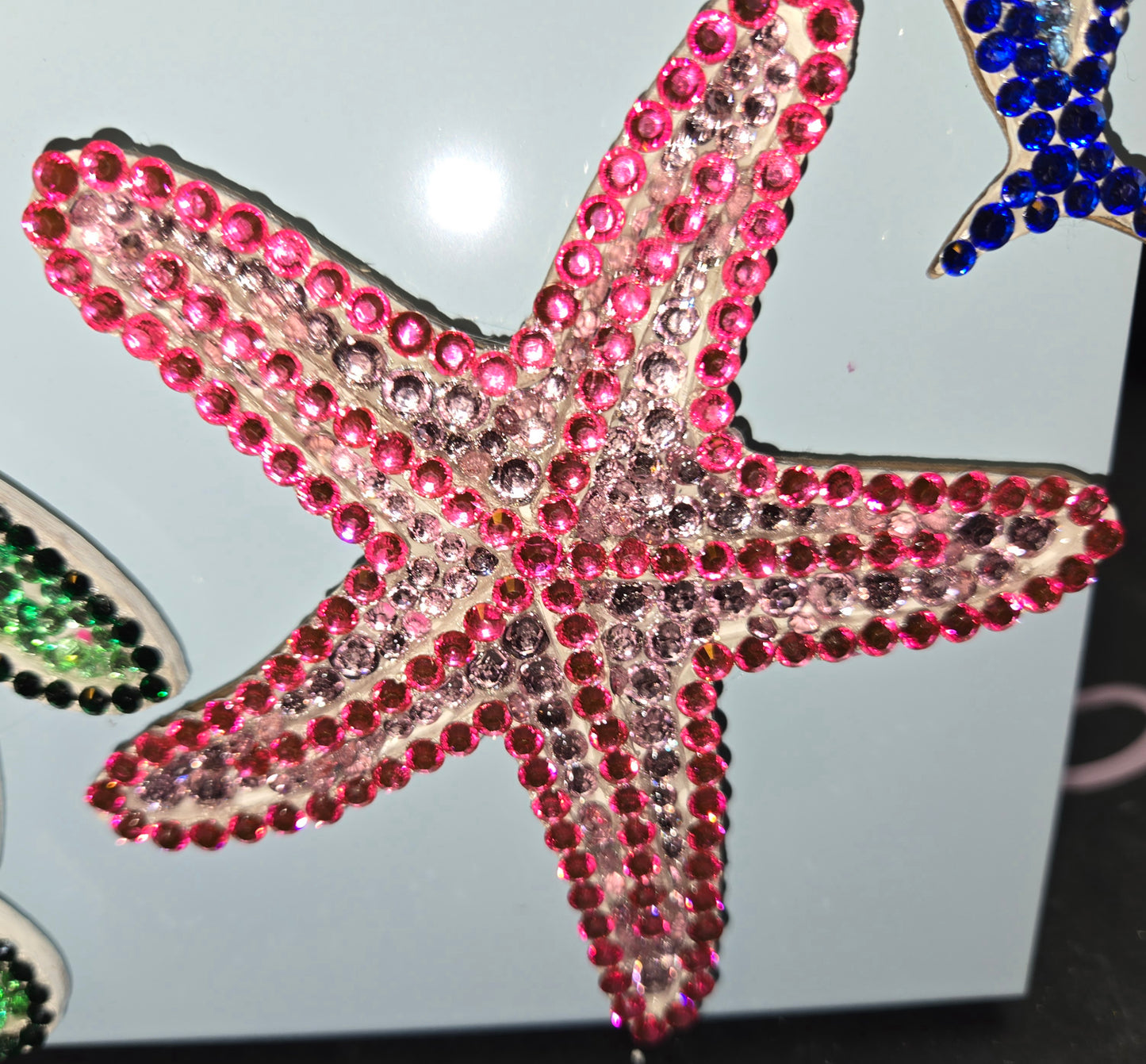 Ocean animal magnets