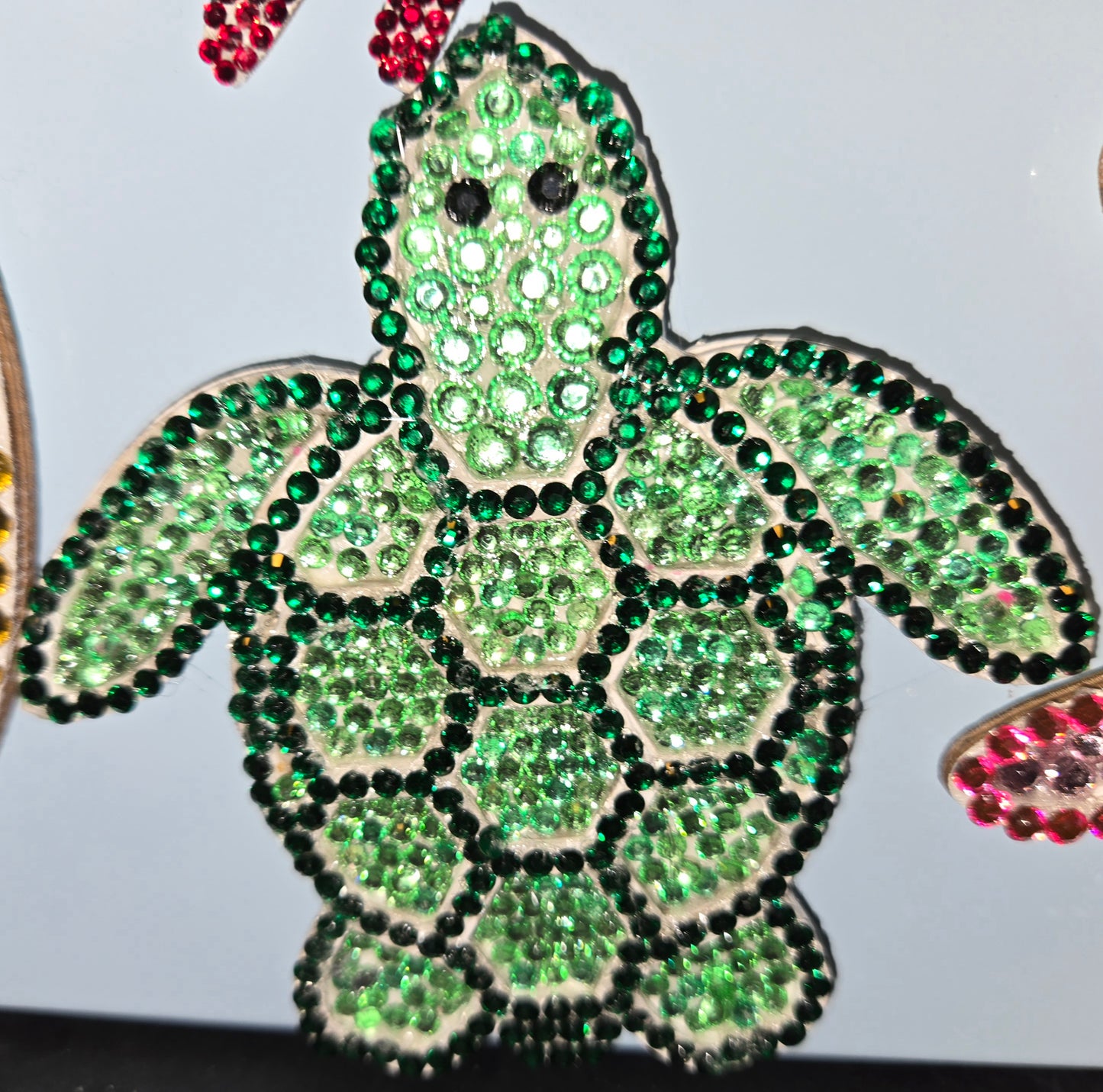 Ocean animal magnets