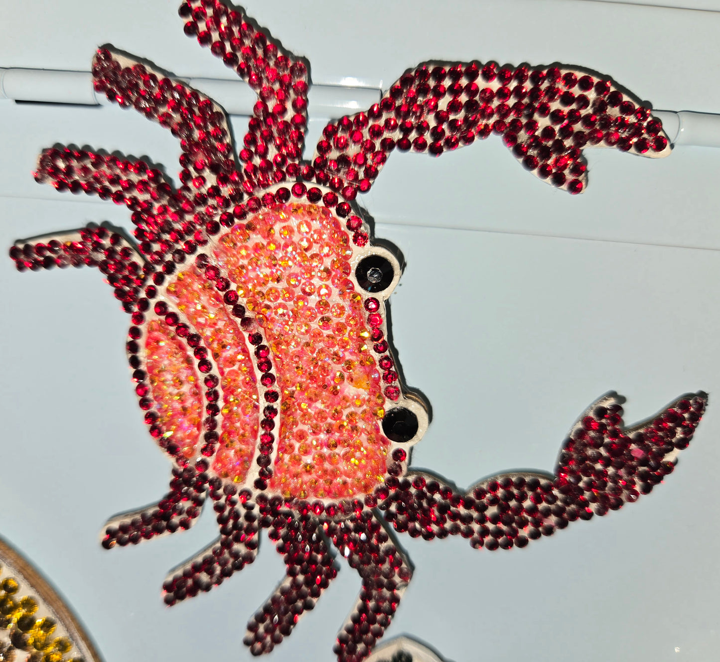 Ocean animal magnets